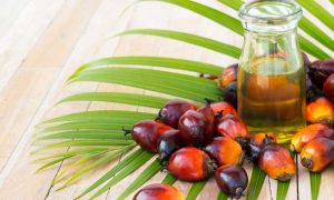 Пальмовое масло