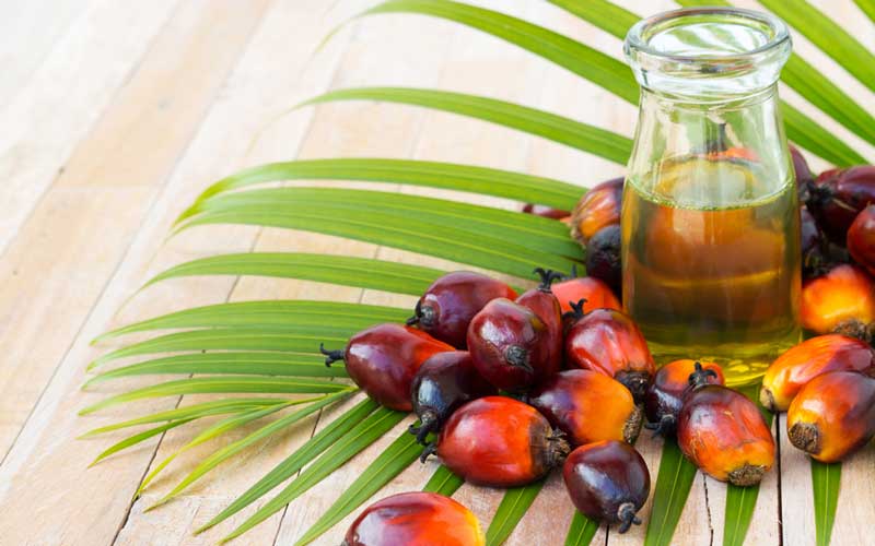 Пальмовое масло