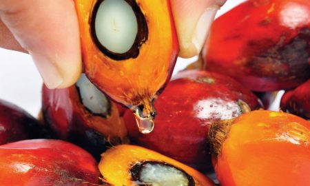 Пальмовое масло