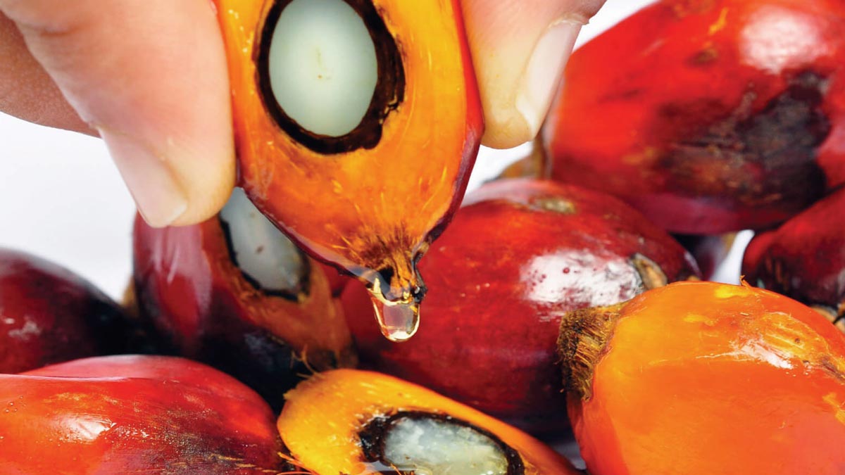 Пальмовое масло