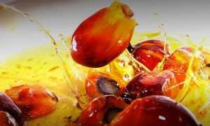 Пальмовое масло