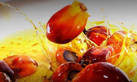 Пальмовое масло