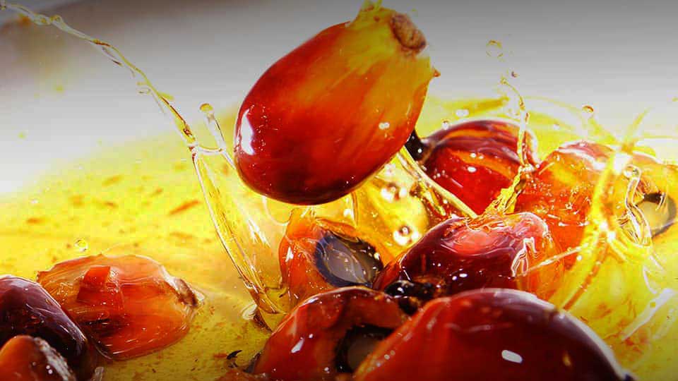 Пальмовое масло