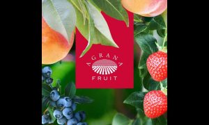 Agrana Group продолжает инвестировать в инновации