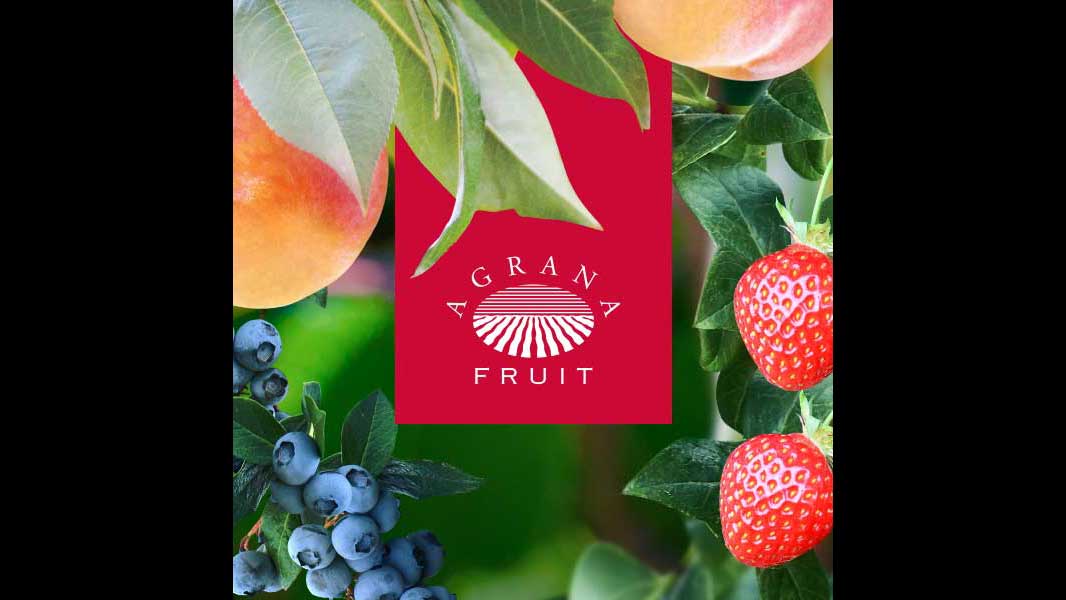 Agrana Group продолжает инвестировать в инновации