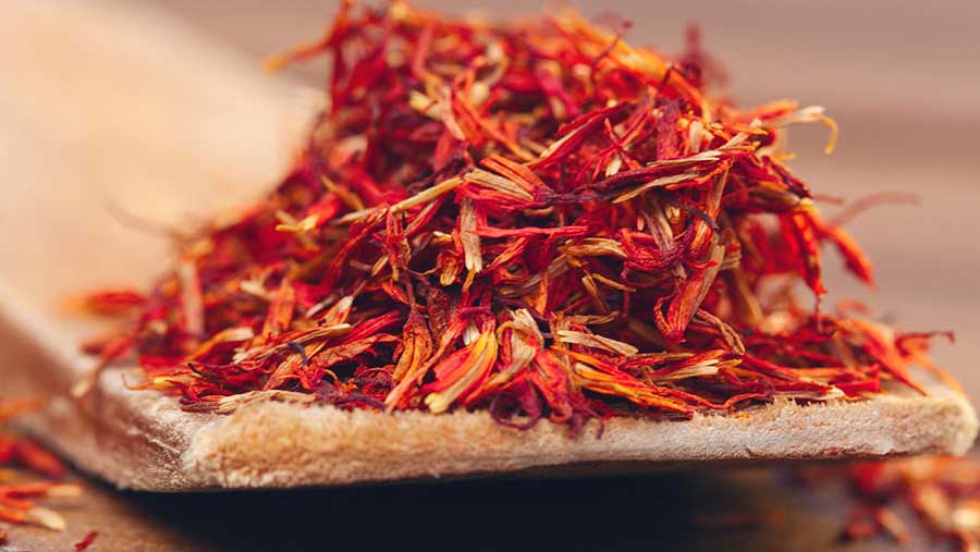 Специи. Шафран