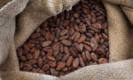 Какао-бобы