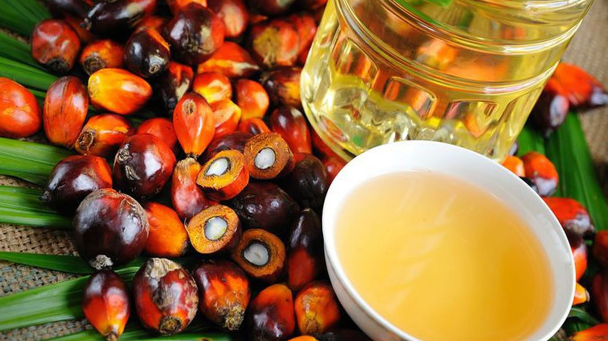 Пальмовое масло