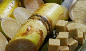 Тростниковый сахар