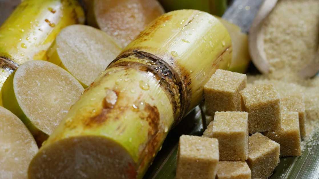 Тростниковый сахар